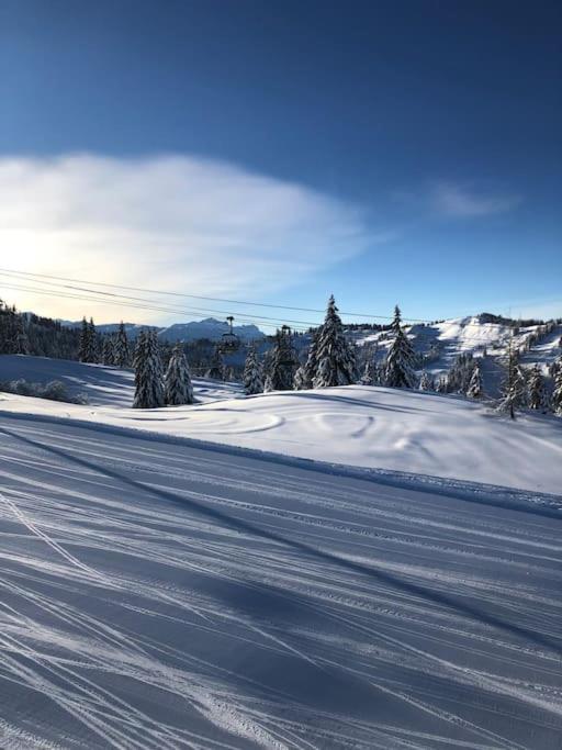 Chalet Milou เลส์เฌต์ ภายนอก รูปภาพ