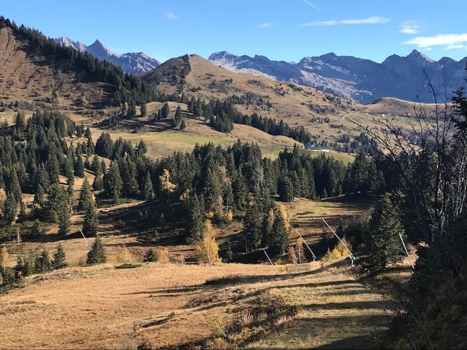 Chalet Milou เลส์เฌต์ ภายนอก รูปภาพ